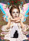 Collage used to create this image