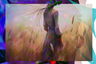 Collage used to create this image