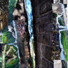 Collage used to create this image