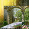 Collage used to create this image