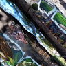 Collage used to create this image