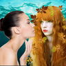 Collage used to create this image