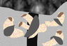 Collage used to create this image