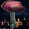 Collage used to create this image
