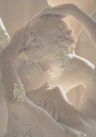Collage used to create this image