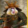 Collage used to create this image