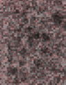 Collage used to create this image